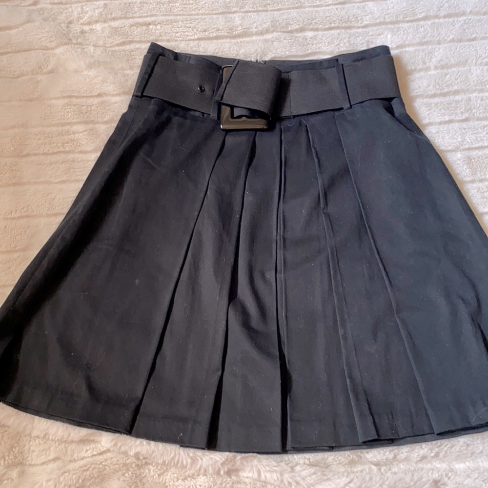 Pleated Skirt from The Limited